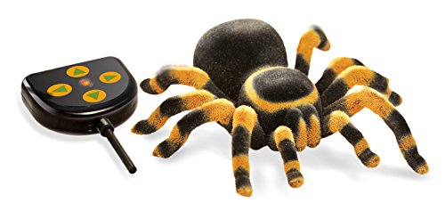 Nature Mygale Radiocommandée - vue 3