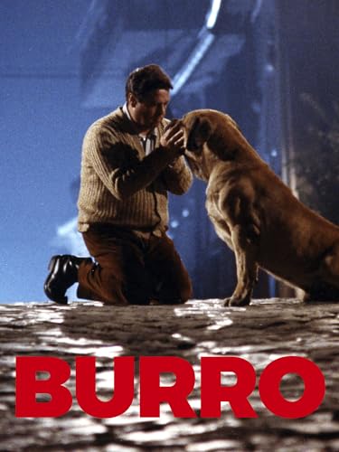 Burro