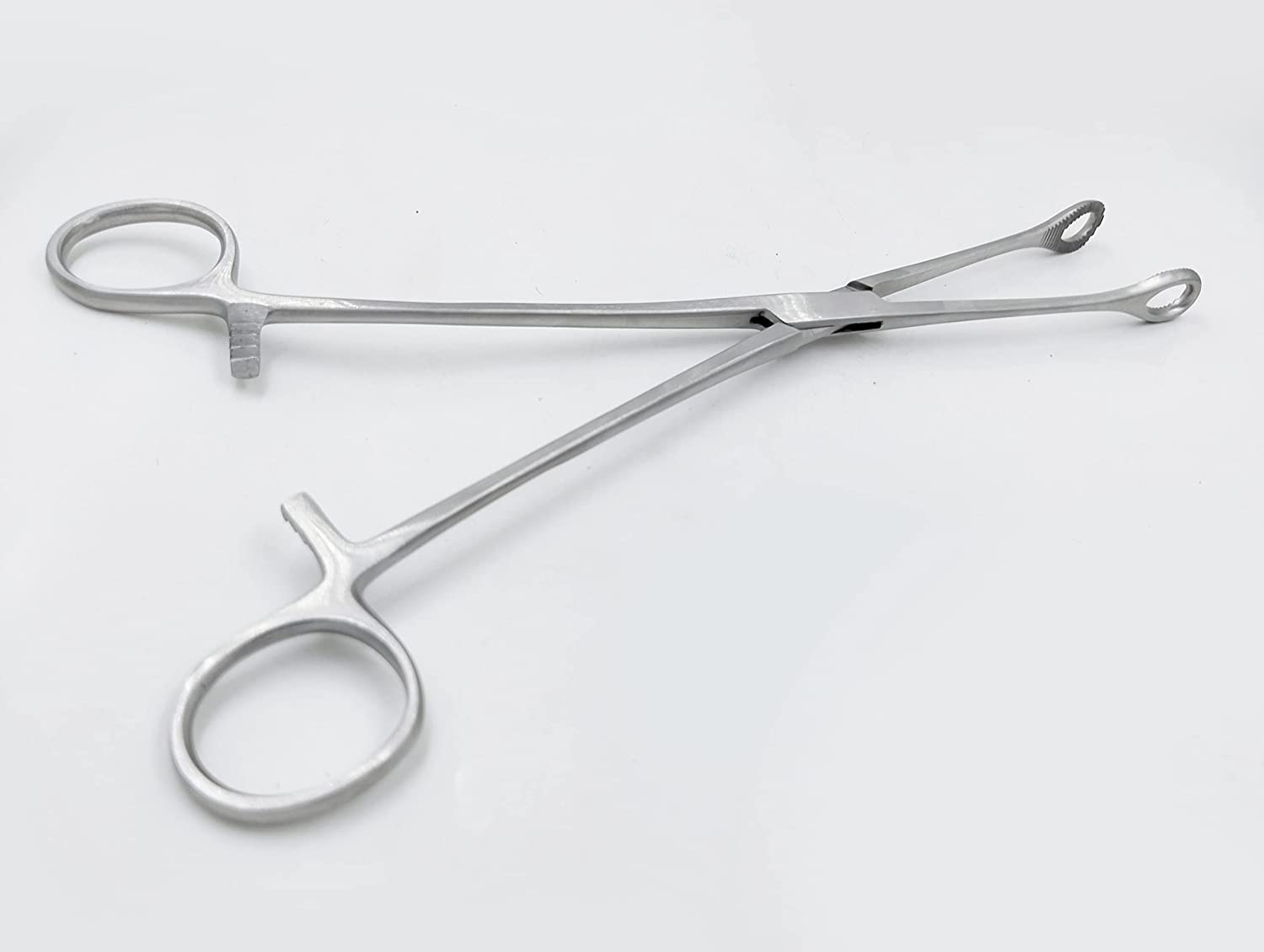 HCG Health Cure Generation Sponge Holding Forceps Stainless Steel Isomer Quality Sponge Holding Forceps (10 inch) (B0BD91BP6F) Amazon Price History, Amazon Price Tracker
