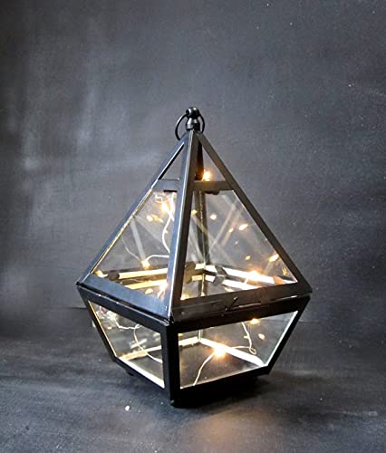 Image of Metal /Glass / Multipurpose Flower Vases for Home Decor (Black Terranium Vase)