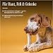 Dog Time Tiernahrung Kauknochen mit Pansen 5 Stück a 12 cm getrocknet I Gesunder Kausnack aus 100% Rind für Hunde I Hundeleckerli mit vielen wertvollen Vitaminen & ohne Zucker