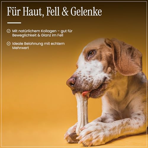 Dog Time Tiernahrung Kauknochen mit Pansen 5 Stück a 12 cm getrocknet I Gesunder Kausnack aus 100% Rind für Hunde I Hundeleckerli mit vielen wertvollen Vitaminen & ohne Zucker