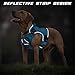 WINGOIN Blue Tactical Dog Harness for Large Dogs, Heavy Duty No Pull Dog Harness with Handle, Adjustable Reflective Military K9 Big Pet Vest for Husky, Doberman, Walking, Training, Hunting (XL)