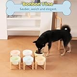 Hundenapf Keramik Futternapf Hund Erhöht - Hundefressnapf mit Rutschfestem Holzständer - Ideal für Kleine und Mittelgroße Hunde - 800 ml - Weiß