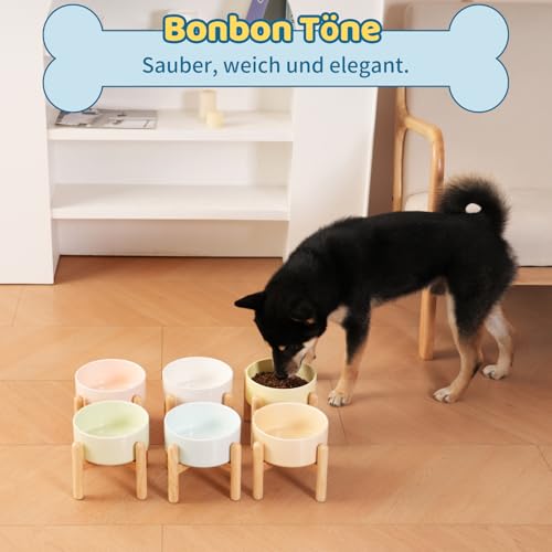 Hundenapf Keramik Futternapf Hund Erhöht - Hundefressnapf mit Rutschfestem Holzständer - Ideal für Kleine und Mittelgroße Hunde - 800 ml - Weiß