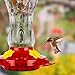 Glass Hummingbird Feeders for Outdoors, Built-in Ant Moat & Leakproof Design, XAROO Hummingbird Feeder with 4 Bee Guard Feeding Ports, 15OZ, Red, Gifts for Mom Wife Dad, Birthday Gift for Men Women