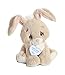 Aurora® Inspirational Precious Moments™ Floppy Bunny Stuffed Animal - Cherished Memories - Enduring Comfort - Brown 8.5 Inches