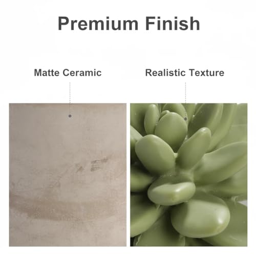 Difusor de Aroma Pretty Valley Home Succulent Gypsum Cerámico miniatura 2