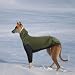 Windhund Pullover Galgo, Leichter Windhund Mantel Winter Windhund-Schlafanzug Hundejacke Dehnbarer Fleece Pullover mit Ärmel(Armeegrün, XL)
