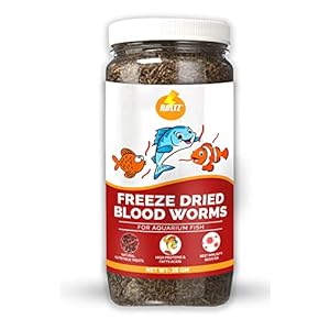 BOLTZ Freeze Dried Blood Worms Fish Food 25 Grams for Bettas, Tetras, Arowana, Flowerhorn, Oscar Fish of All Life Stages (25 Gm), Multi Color