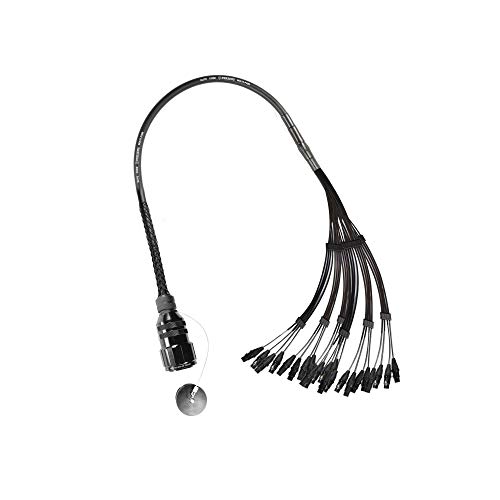 Elite Core Perseus PERS24-AMP-FI 24 Channel Amphenol MP-41 Multi-Pin to Female XLR Fan in