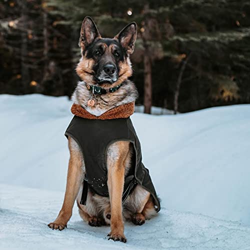 IREENUO Hundemantel, wasserdicht, Hundebekleidung mit Verstellbarer Schnalle für mittelgroße und große Hunde, Wintermantel für Hunde (Grün, M)