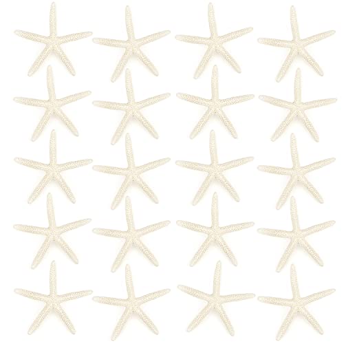 Jangostor 20 PCS Starfish, 2.5" to 4" Natural Seashells Star Fish Shells Decorations White Starfish Ornaments Perfect for Wedding, Beach Theme Party, Home Decorations, DIY Crafts, Fish Tank