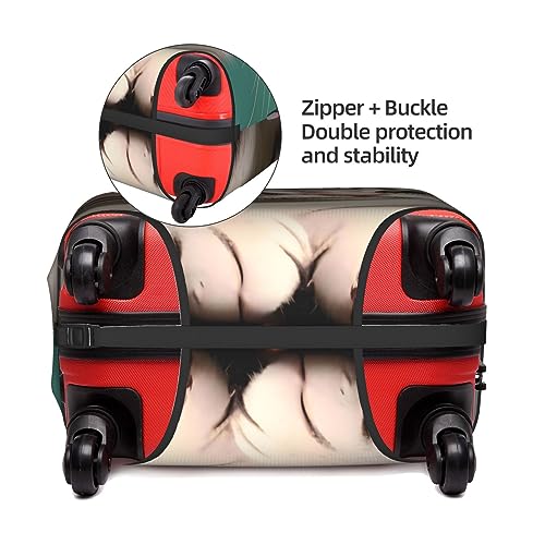 A Curious Cat Suitcase Cover Luggage Protective Case High Elasticity Material For Travelers4