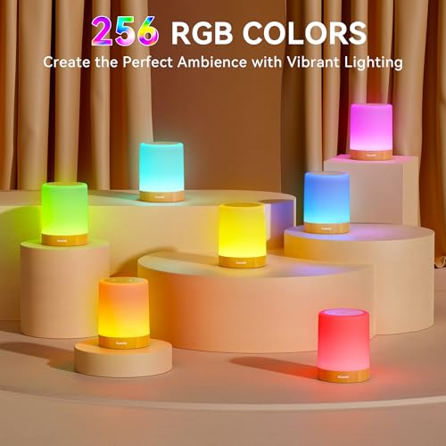 Image of Auxmir Nursery Night Light for Baby, Rechargeable Touch Lamp for Breastfeeding & Diaper Changes, 256 RGB Colors 5 Brightness Levels, Timer, Portable Bedside Night Light for Kids Bedroom, Brown-2 Pack