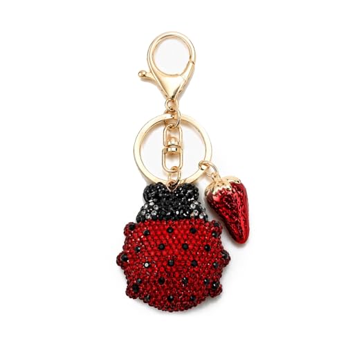 Porte-clés coccinelle, le cadeau d'anniversaire idéal pour amis