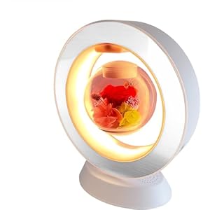 AN XING GOU Christmas Valentine’s Day Mother’s Day Thanksgiving Gift for Women Girls Your Loved One Mum Girlfriend Friends on Romantic Anniversary Birthday Party Activities Sweet Dream Night