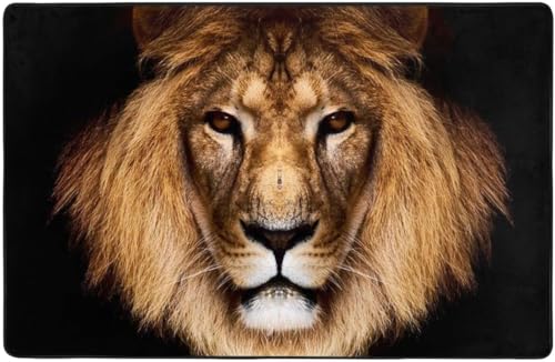 ���C�I�� ���O �J�[�y�b�g ����~�ߕt �􂦂� �h�_�j �R�� �h�L ���G�͏_�炩��������� �����` �A�j�� 100 * 150 Cm�I�[���V�[�Y���K�p