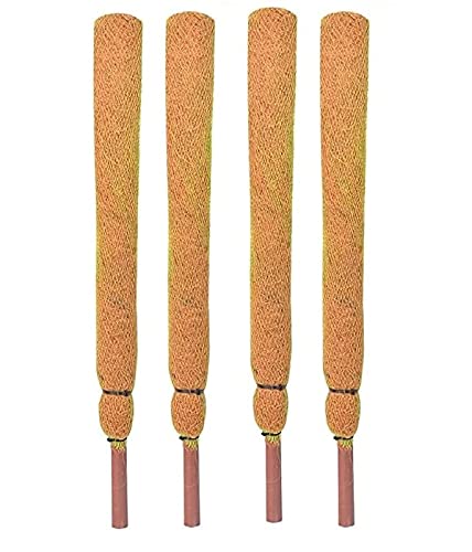 KURUPPATH GROUP 4 Feet Coir Moss Stick/Coco Pole for Climbing Indoor Plants (B09JYN61BP) Amazon Price History, Amazon Price Tracker