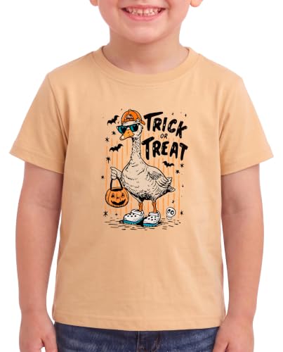 Image of Boys Short Sleeve Funny Graphic Tees for Toddler to Big Kid