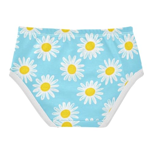 Joisal Girls Underwear Toddlers 2t Cotton Little Girl Panties Personalized Briefs Kids Undies White Daisies Floral Light Blue2