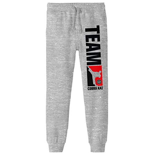 Cobra Kai Team Cobra Kai Boy's Athletic Heather Jogger Pants
