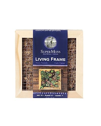 Wood Living Wall Planter 6in x 6in