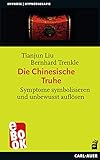  Die Chinesische Truhe: Symptome symbolisieren und unbewusst auflösen (Hypnose und Hypnotherapie)