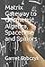 Matrix Gateway to Geometric Algebra, Spacetime and Spinors