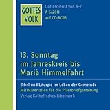  Nr.6 : 13. Sonntag im Jahreskreis bis Mariä Himmelfahrt, 1 CD-ROM