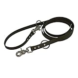 Collar & Leash