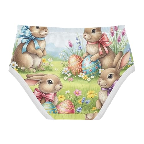 Toddler Girls Underwear 2t Cotton Panties Little Girl Florals Briefs Kids Undies Cute Bunnies Colorful Easter2