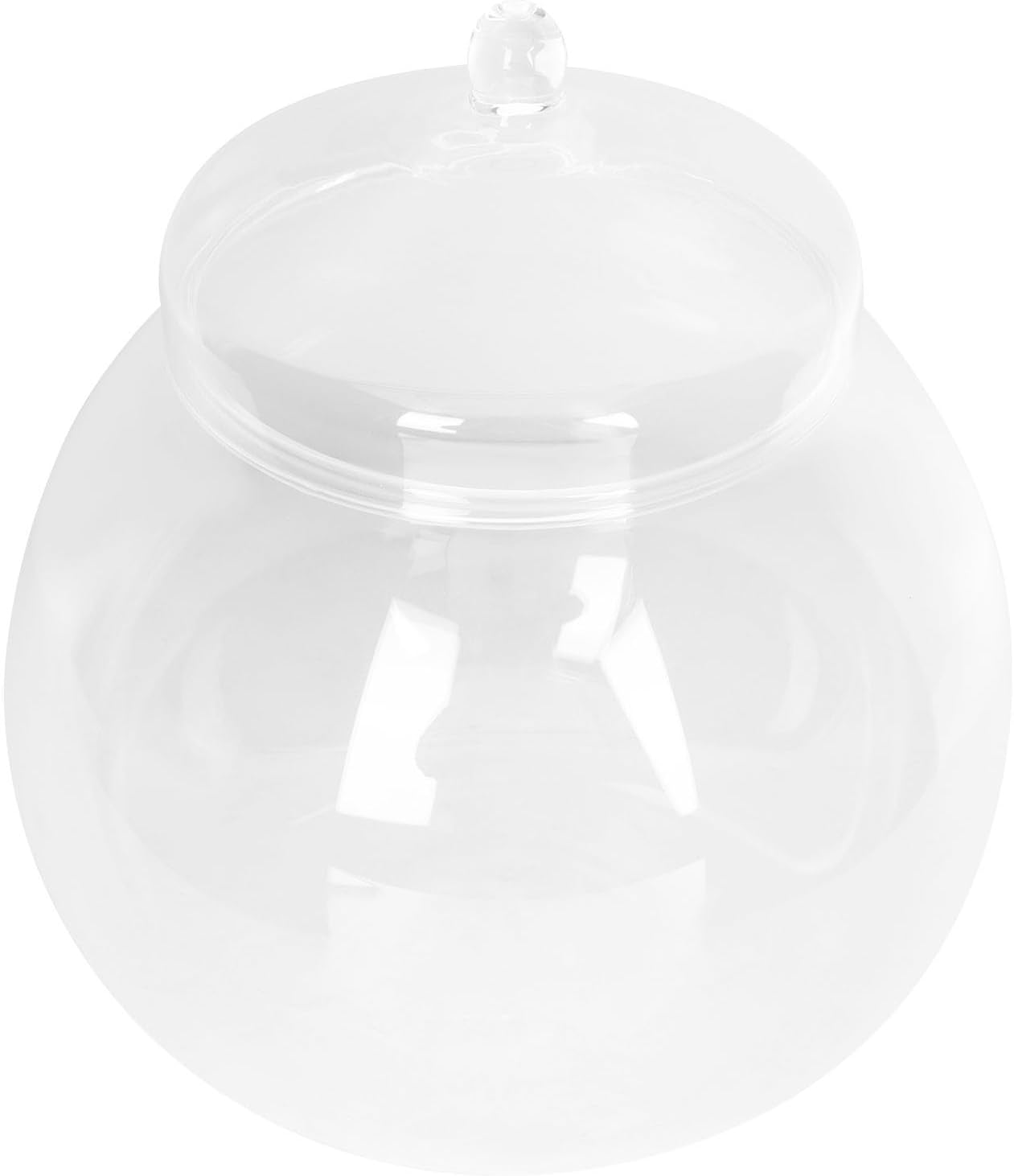 Yardwe Glass Terrarium with Lid 7.1 Inch Clear Plant Terrarium Jar for DIY Micro Landscape Indoor Ecological Bottle for Home and Office Decoration