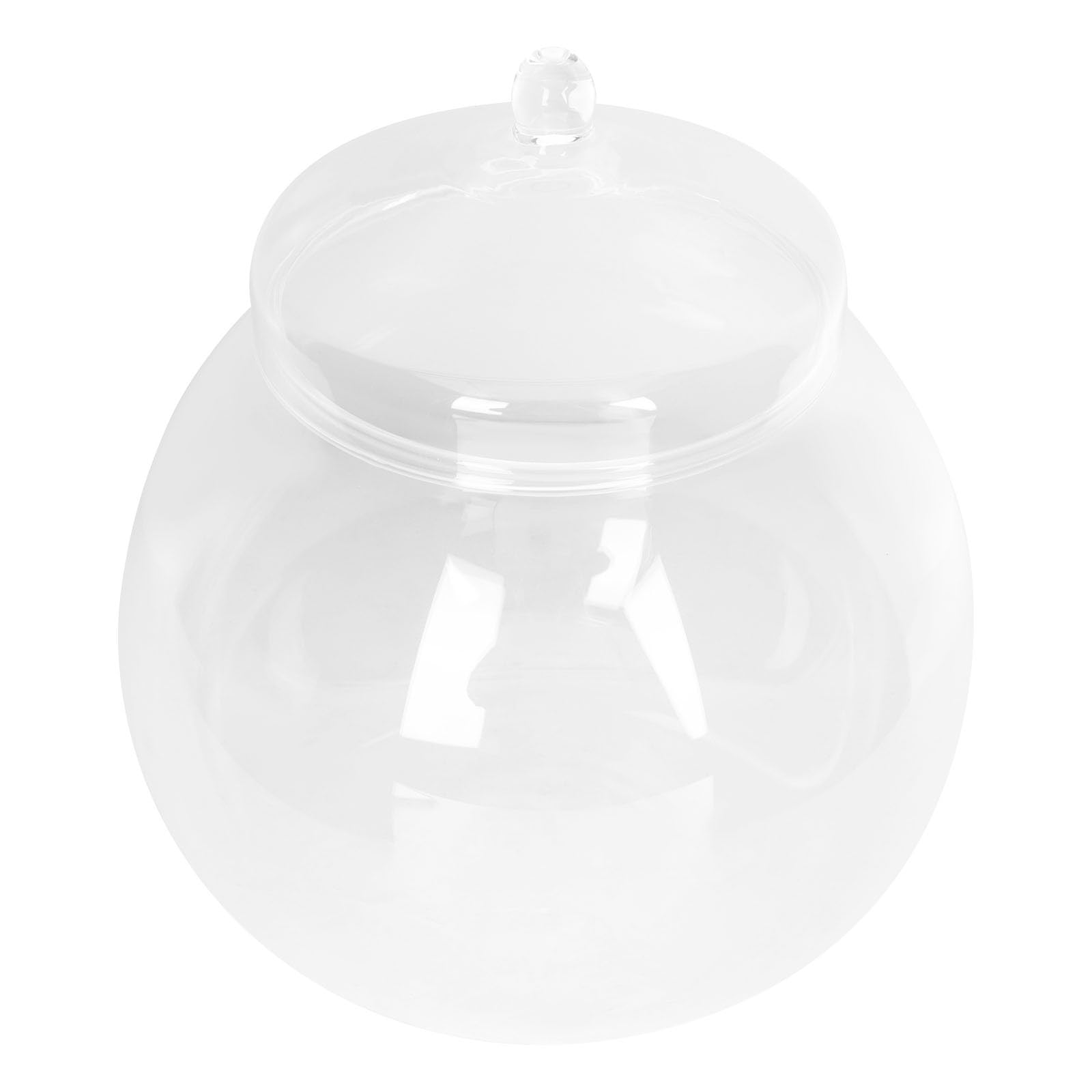 Terrarium en verre anti poussiere pour maintenir l'humidite
