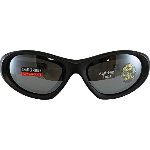 New Birdz Gull Jet Ski Watersport Floating Goggles Interchangeable Between Goggles/Sunglasses with smoke
