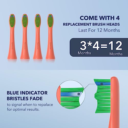 Image of ARISSON Sonic Electric Toothbrush for Adults and Kids, 40,000 VPM Power Toothbrush, 1.5H Fast Charge Ultrasonic Electric Toothbrushes with 2 Minutes Smart Timer, 1.6 Oz Travel Toothbrush, Peach Orange