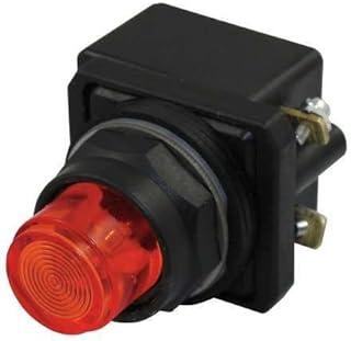 Pilot Light, LED, 120VAC, 30mm, Plastic, RD
