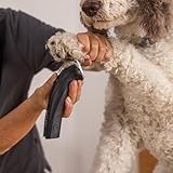 Agrarzone Edition Moser Arco Pro Hundeschermaschine 1 Akku - mit Aufsteckkamm Set - Schermaschine Hund mit hervorragender Leistung - Rasierer, Trimmer, Tierhaarschneider & Katzen