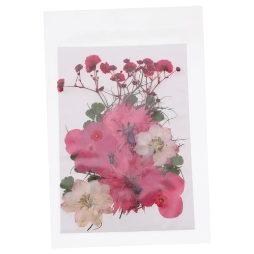 30 pcs Materiales para DIY Flores Presionadas Reales miniatura 1