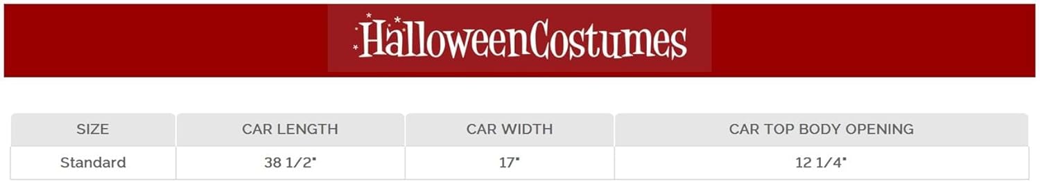 Women's Disney Pixar Cars Sally Ride-In Tunic Costume | Adult Cars Character Outfit for Halloween, Parties