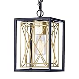 Pendant Lighting, UL Listed Cage Kitchen Light Fixtures Industrial Farmhouse Chandelier Black Gold M