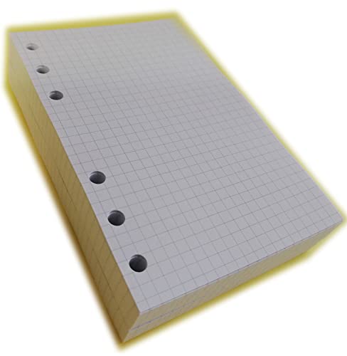 tipome.com Recarga de 200 folhas de papel marfim quadriculado, formato A6 pessoal, 10 x 17 cm, para agenda de 6 anéis, recarga de 200 folhas quadriculadas, formato A6 pessoal 10,5 x 16 cm