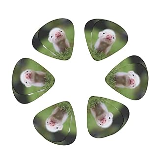 Ensemble de 12 médiators de guitare Baby Pig pour guitare acoustique, guitare électrique, contrebasse, ukulélé - Les Beatles, Paul McCartney, John Lennon, RIngo Starr, George Harrison Ensemble de 12 médiators de guitare Baby Pig pour guitare acoustique, guitare électrique, contrebasse, ukulélé – Image 2