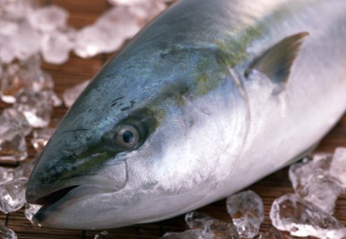 y\o@܁[monz{B@u2{(1{5kgO)I