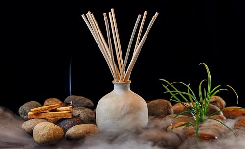 BLUEME-Bundle-Spiritual-Palo-Santo-Vetiver-1691-Fl-Oz-Wellness-Diffuser-Oil-Refill-Contains-Essential-Oil-Sustainable-Hand-Finished-Premium-Luxury-Ceramic-Natural-Rattan-Reeds BLUEME Bundle Spiritual Palo Santo Vetiver 1691 Fl Oz Wellness Diffuser Oil Refill Contains Essential Oil Sustainable Hand Finished Premium Luxury Ceramic Natural Rattan Reeds