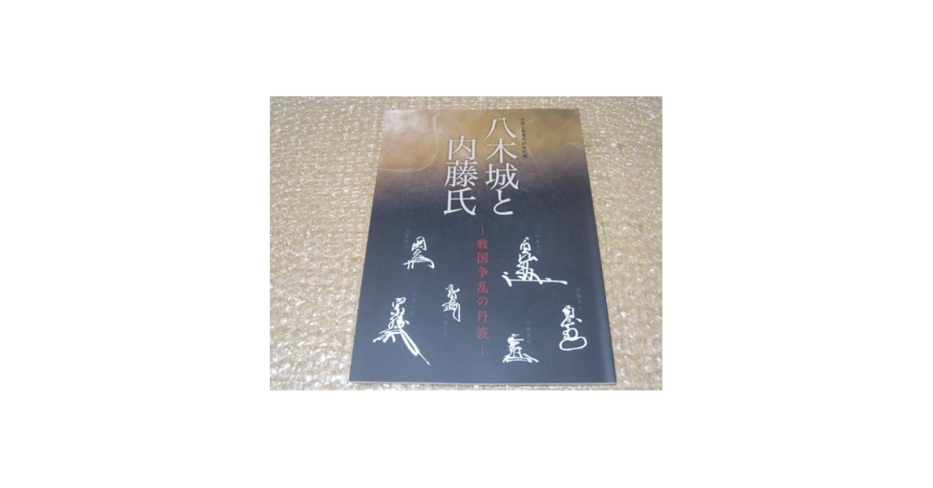 Amazon.co.jp: 八木城と内藤氏 戦国争乱の丹波 図録明智光秀