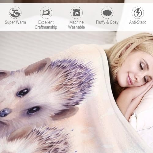 Couverture plaid flanelle hérisson jeté de canapé chaud et doux grand format toutes saisons