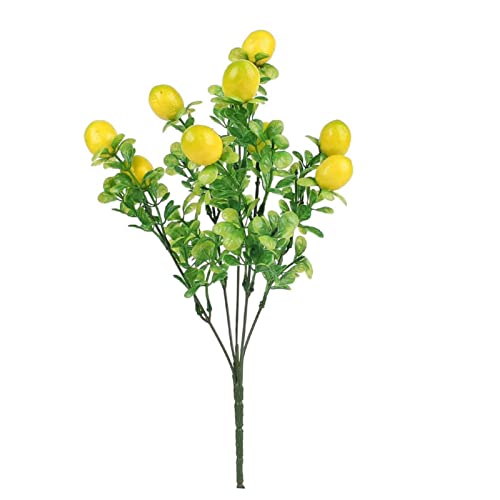 Des Pots Vase Zitronen Die 15 besten Produkte im Vergleich