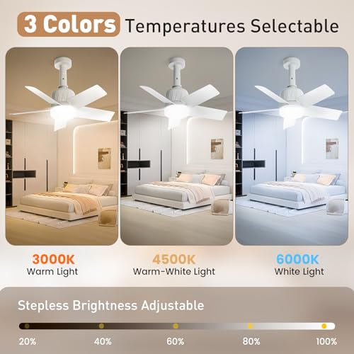 NIORSUN Ventoinhas de teto com luzes e controle remoto, 3 CCT 3000K-6000K, ventilador de luz com lâm