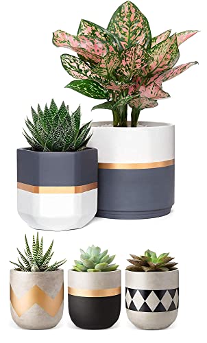Mkono Set Of 5 Cement Succulent Planter And Ceramic Planter, Modern 4'' Clay Flower Pots 5 And 6.3 Inch Geometric Gardening Pots With Drainage For Cactus Herb Or Small Plants Home Decor Gift Idea(Pla #TOP17
